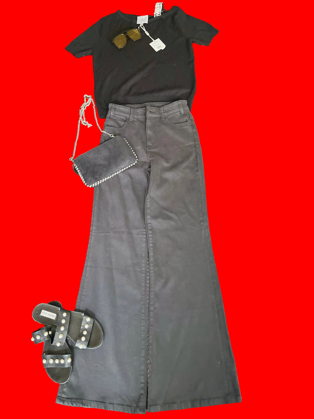 Boston Proper High-Rise Wide Leg Pants – Black – Size 0